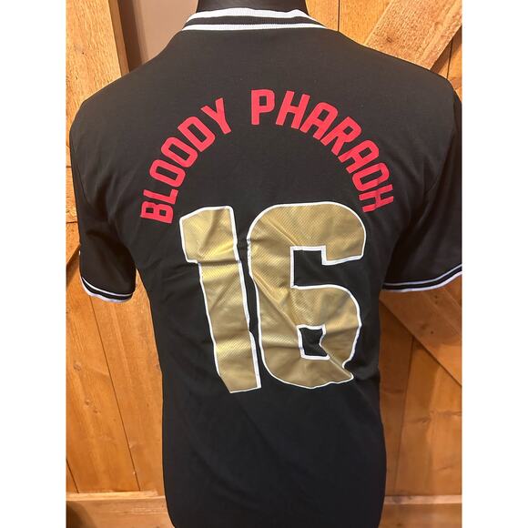 Alpha Phi Alpha Bloody Pharoah 16 V Neck Jersey Shirt Medium (38-40) GUC Men's - Picture 3 of 4